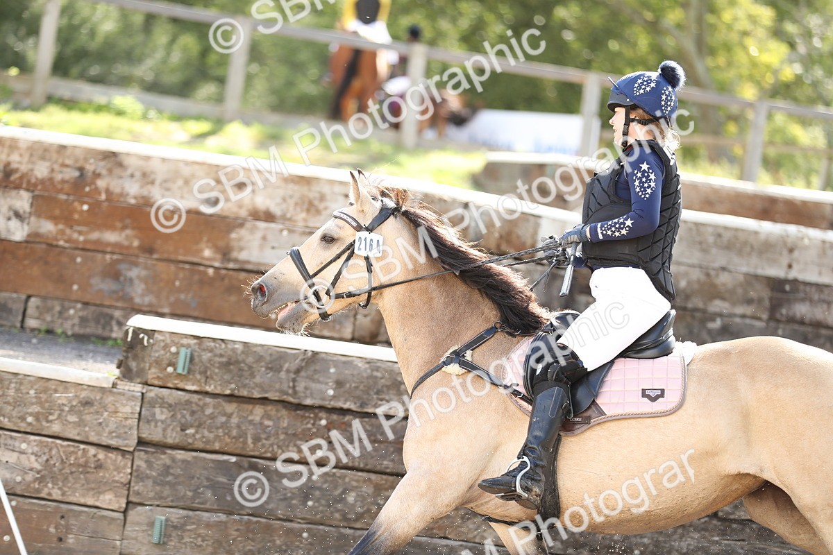 SBM_17146 - E4b - Eventers Challenge 60cm Open