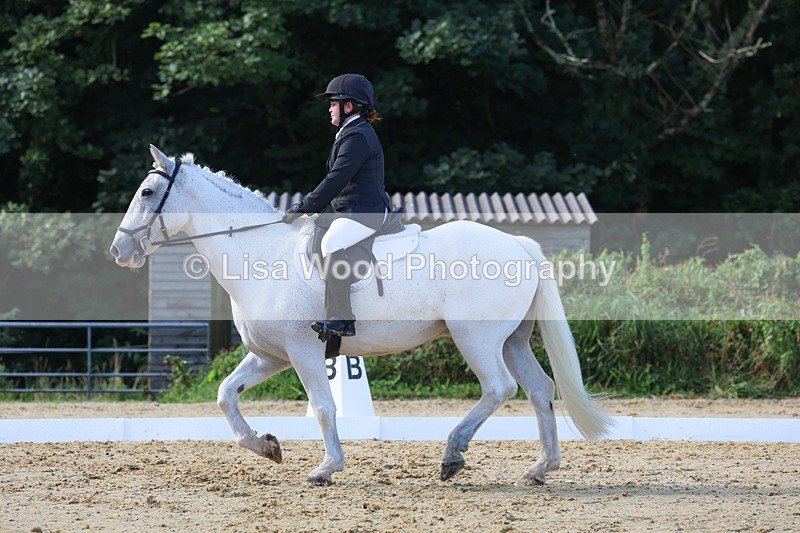 3E7A2476 - Class 1: Intro 4 2024 section A