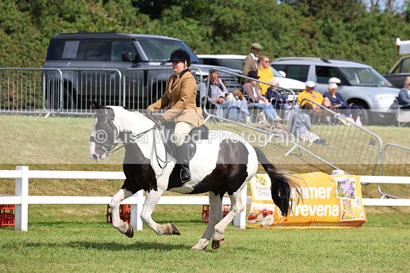 3E7A9739 - Class 5: Rising Star Lightweight/Heavyweight Cobs