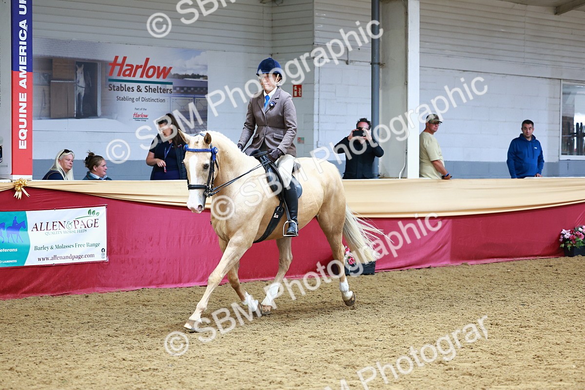 SBM_23798 - Class 905 - Supreme Final - Ridden Veteran
