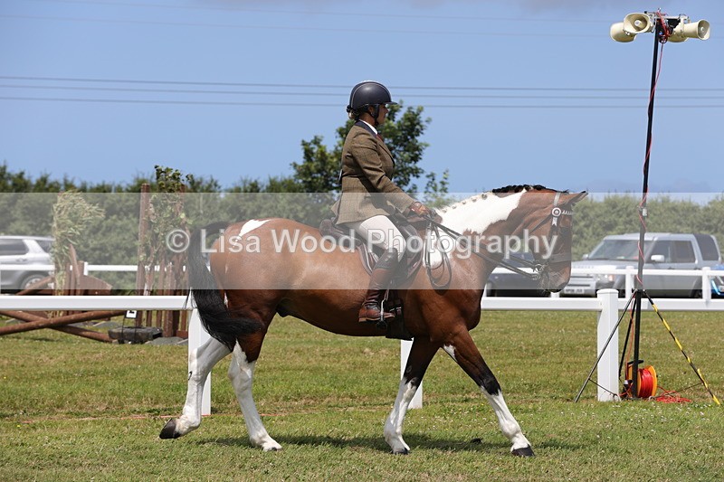 1X9A4282 - Class 34: Veteran Ridden