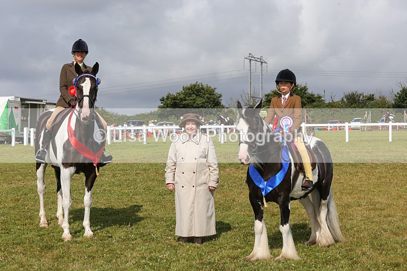 1X9A3521 - Skewbald and Piebald Ridden Championship