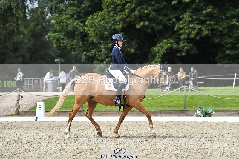 230812-123830-04162 - Cls 6 Novice Silver 12.10 to End