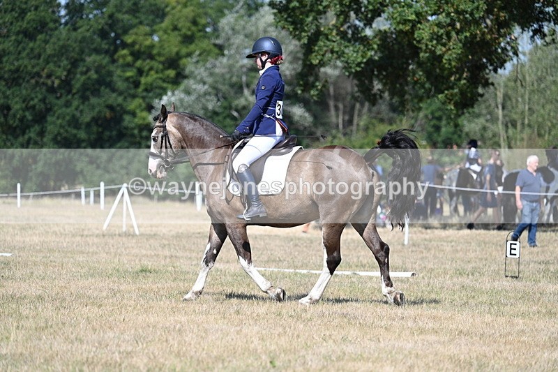 WJ7_0154 - Time 11:03 to 11:28