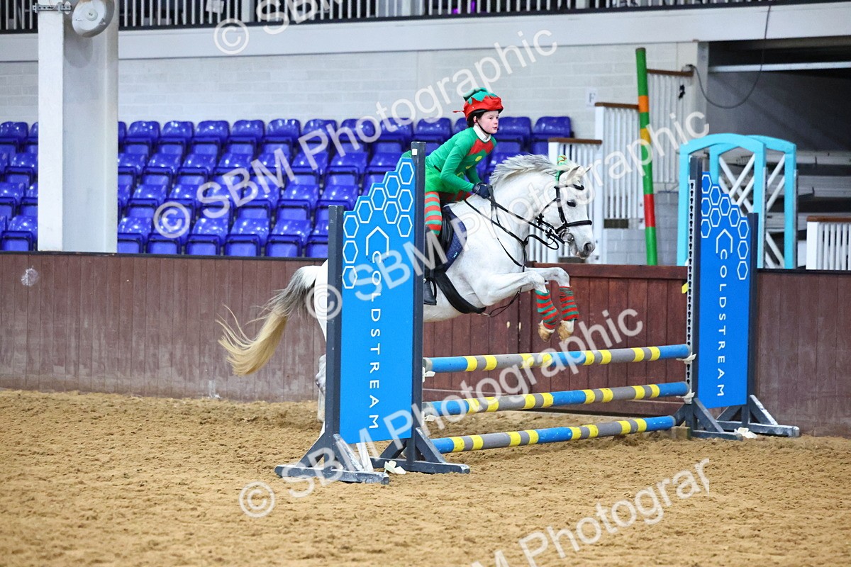 SBM_001381 - Class 3 - Christmas Tree Stakes - 60cm