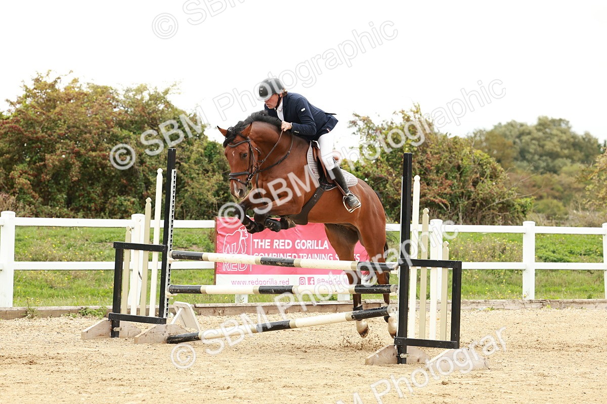 1I0A6990 - Class 2 - Senior British Novice