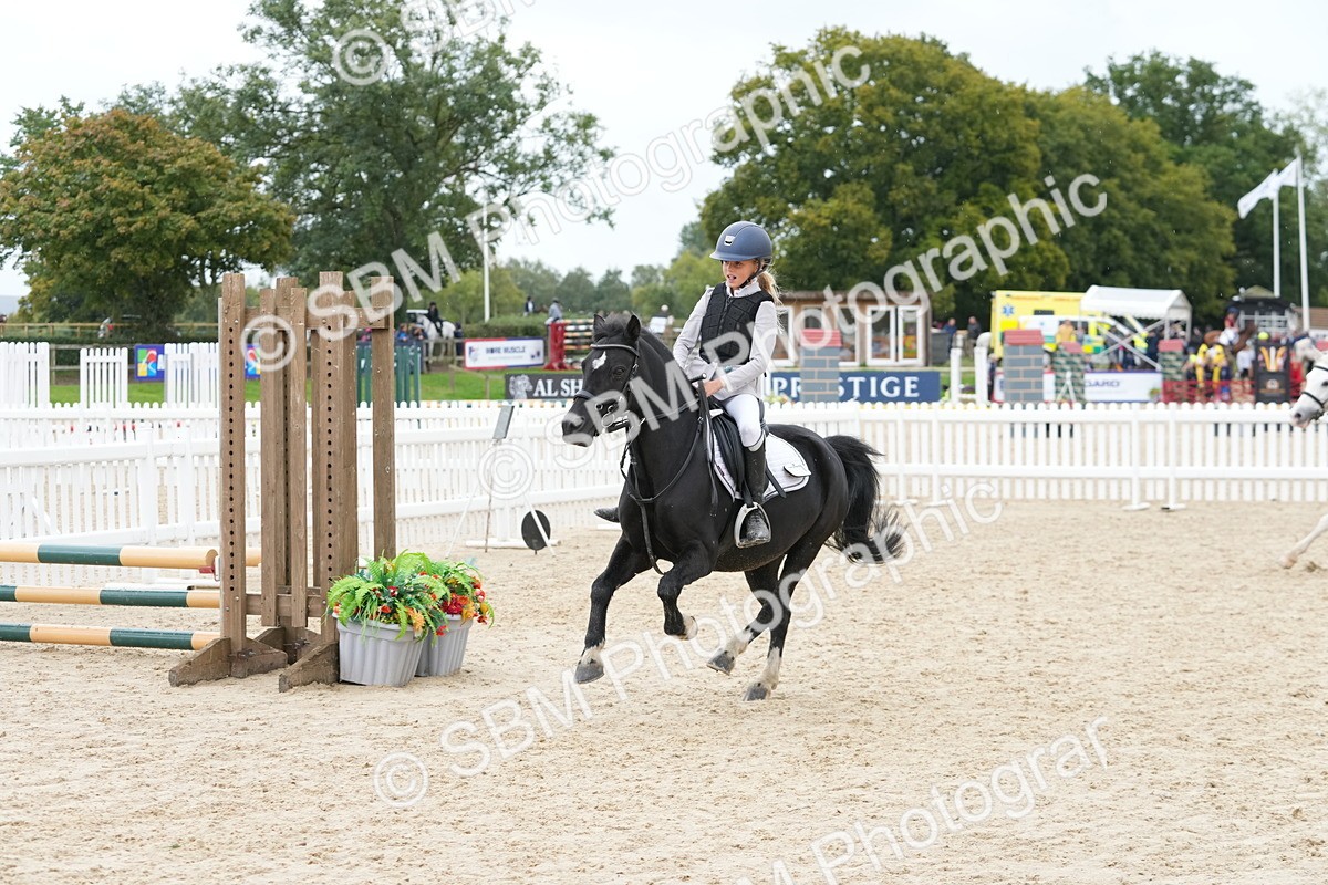 SBM_40908 - Supreme Championship Pony 50-55cm