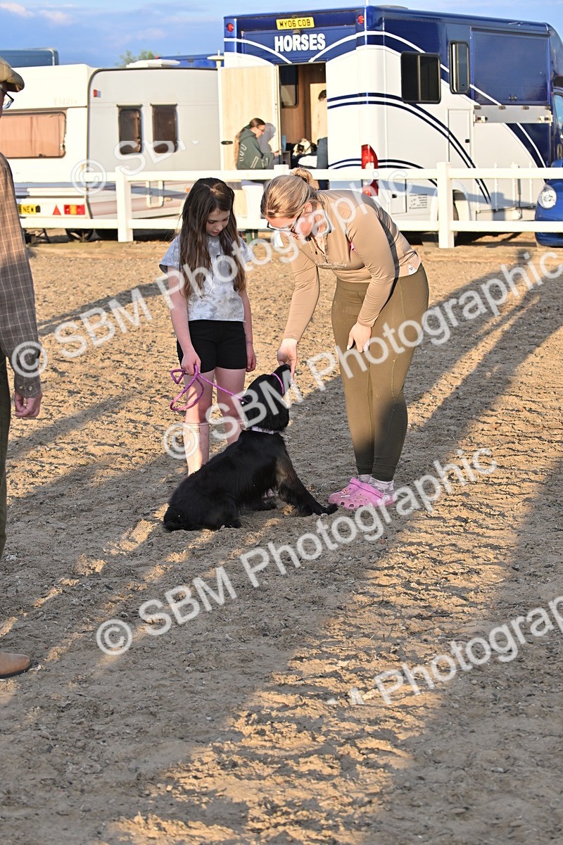 SBM_09660 - Lorry Dogs