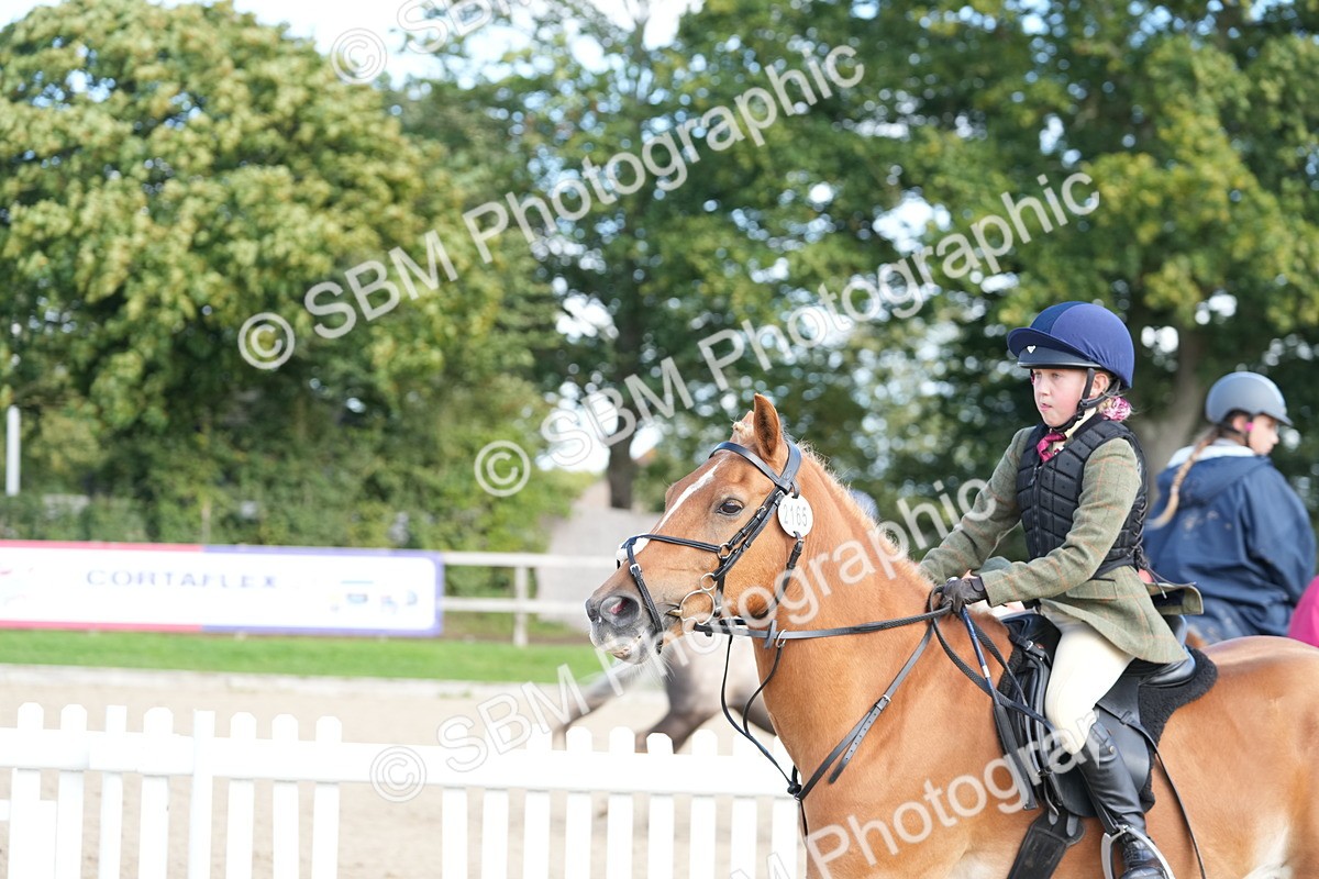 SBM_48459 - J7 - Junior Pony 60cm Championship