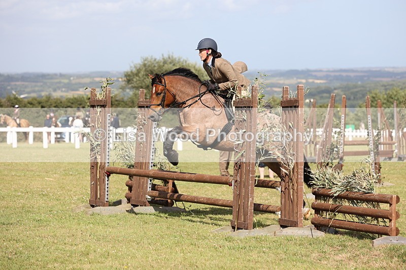 JPP_2650 - Class 20: Working Hunter 70cm