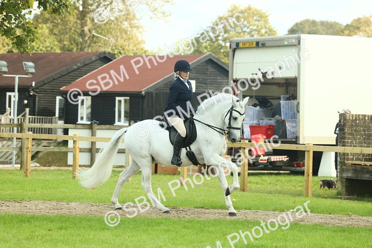 SBM_62447 - S62 - Foreign Breeds Ridden