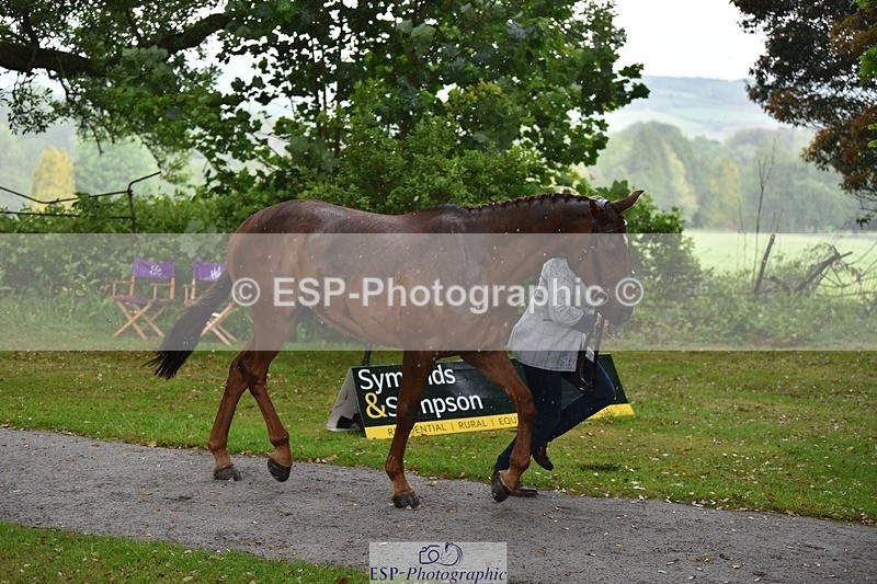 240522-151452-00201 - 307-CYMOON_''F''_Z-Kristina_Cook