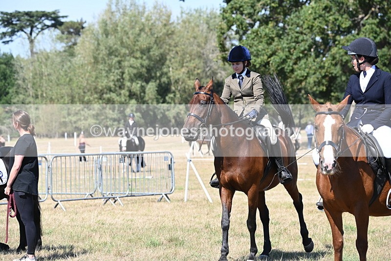 WJ6_8418 - Class 37a Best Loan Pony Ridden