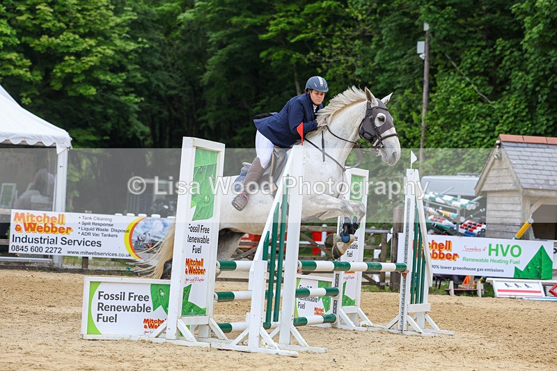 3E7A8518 - Class 4: Senior British Novice/90cm open