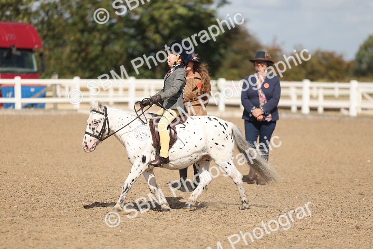 SBM_23132 - Class 806 - Young Rider 10ry and Under