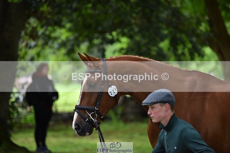 240522-164732-01160 - 221-LAGANS_RICE_STAR-Oliver_Thompson