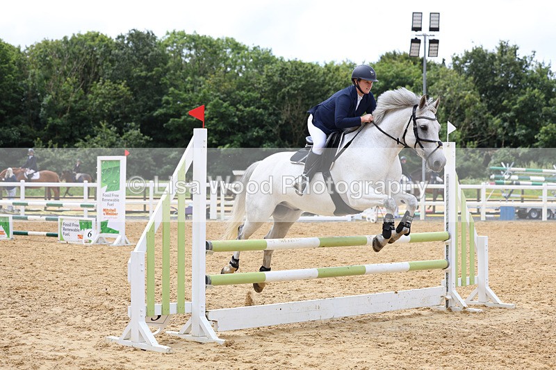 3E7A0107 - Class 9: Senior British Novice/90cm open