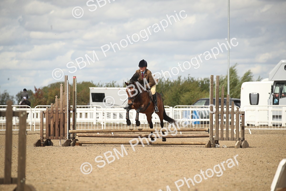 SBM_14527 - Class 505a - M&M Working Veteran - 50cm (15-19)