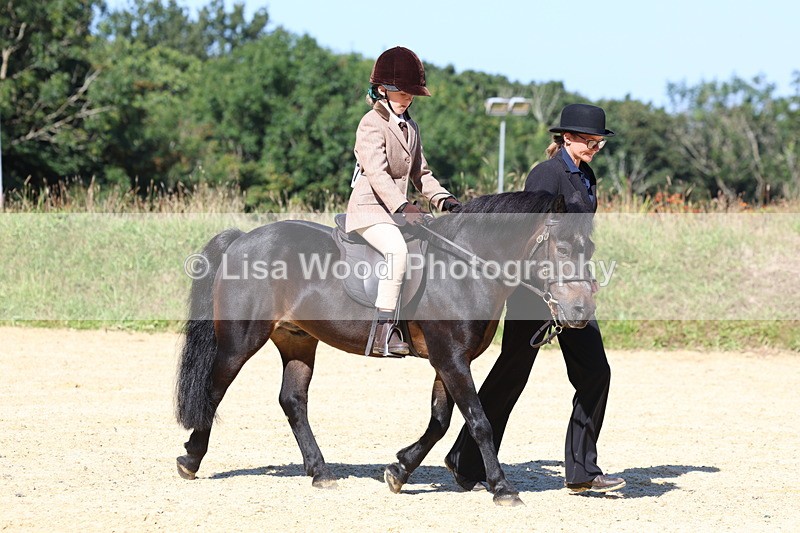 3E7A8064 - Class 15: Lead Rein