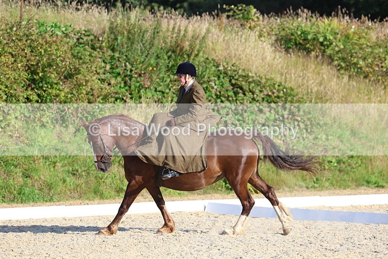 3E7A3838 - Class 3: Prelim 1 2024 Section A