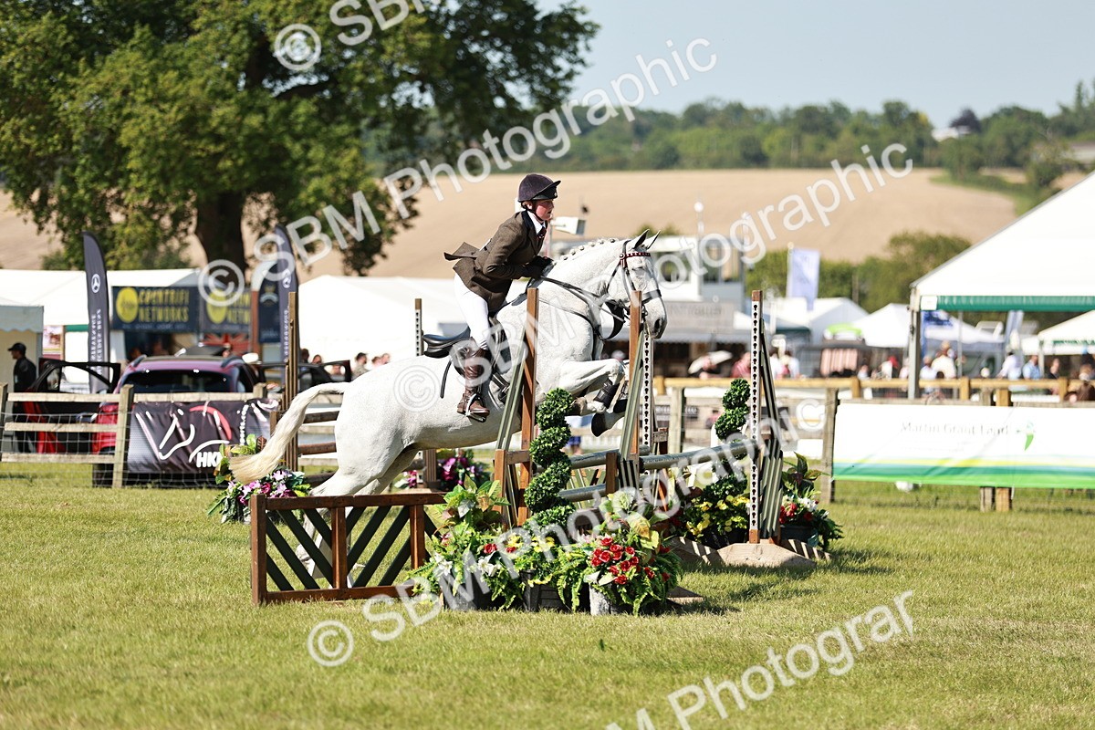 SBM_18844 - Class 114 - RIHS & SEIB Open Working Show Horse