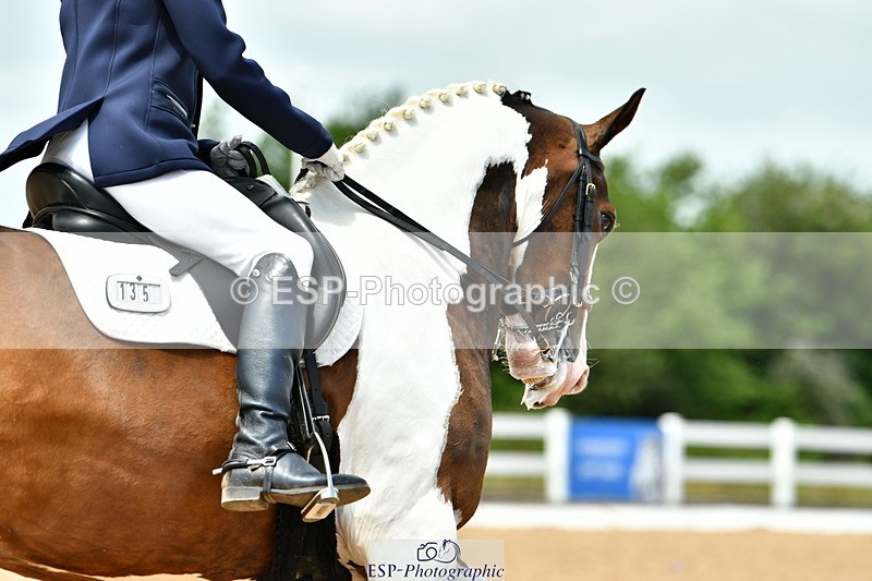 230702A-131853-09838 - Cls 28 Elementary 45