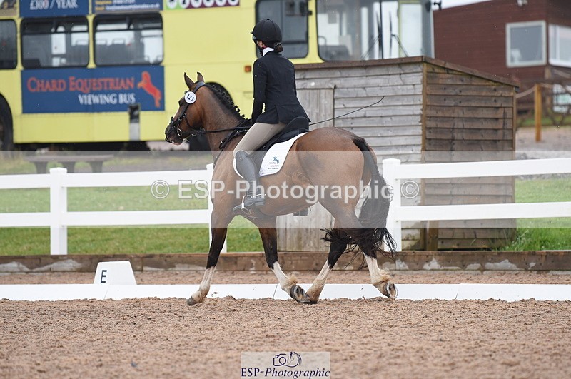 230708A-125542-01799 - Prelim 7