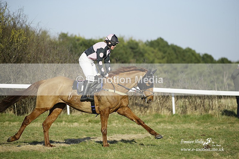 PtP 270222 397 - South & West Wilts Point-to-Point Larkhill 27/02/22