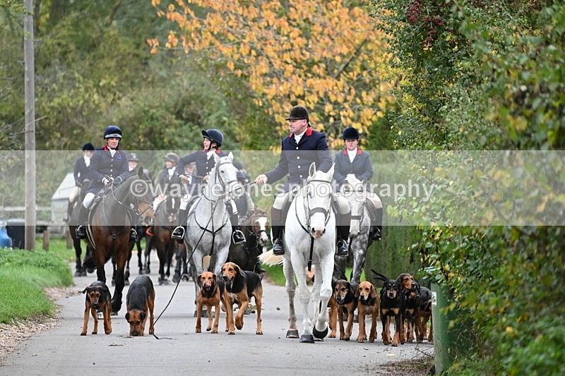 WJ6_8295 - Walk Home..