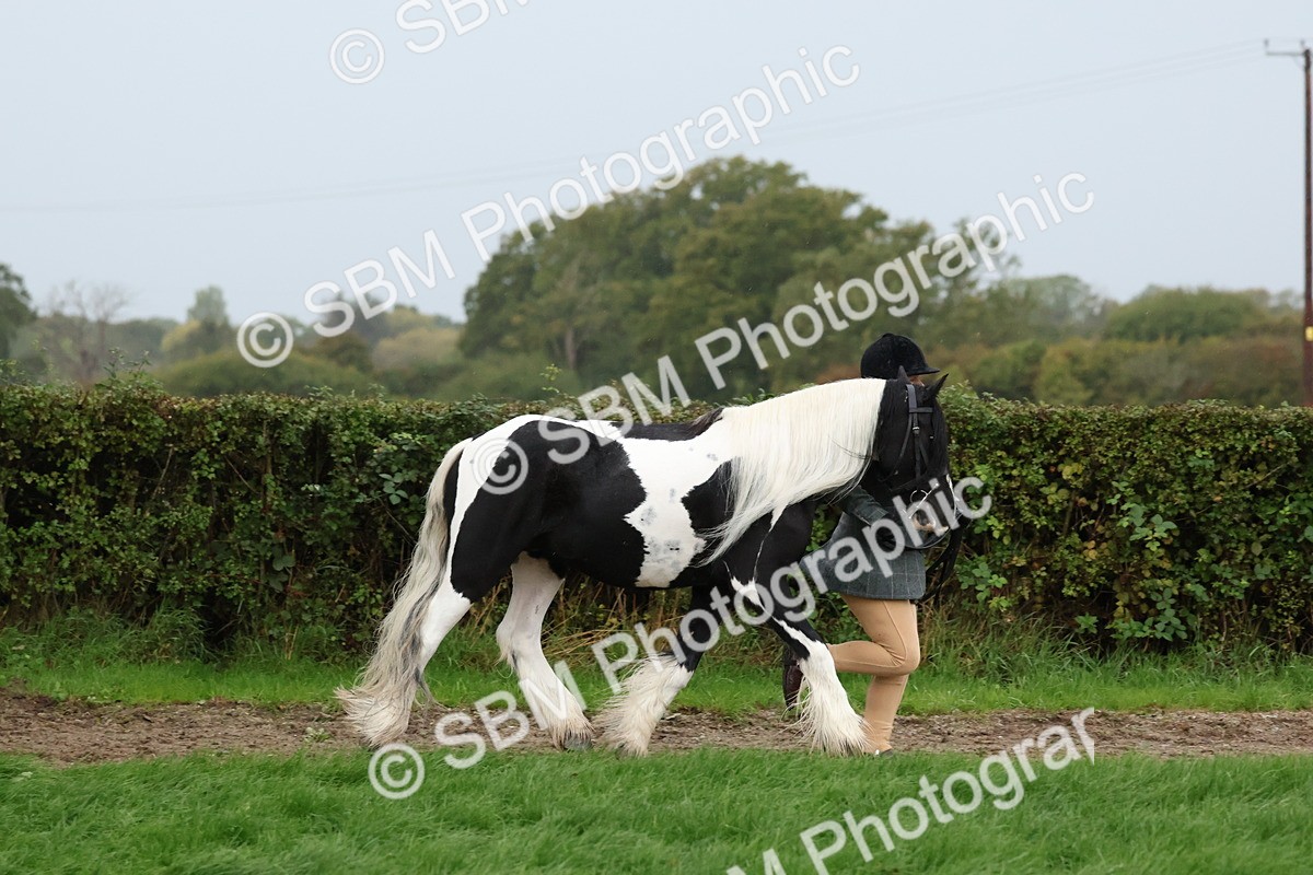 SBM_35283 - S10 - Best In Hand Horse & Pony