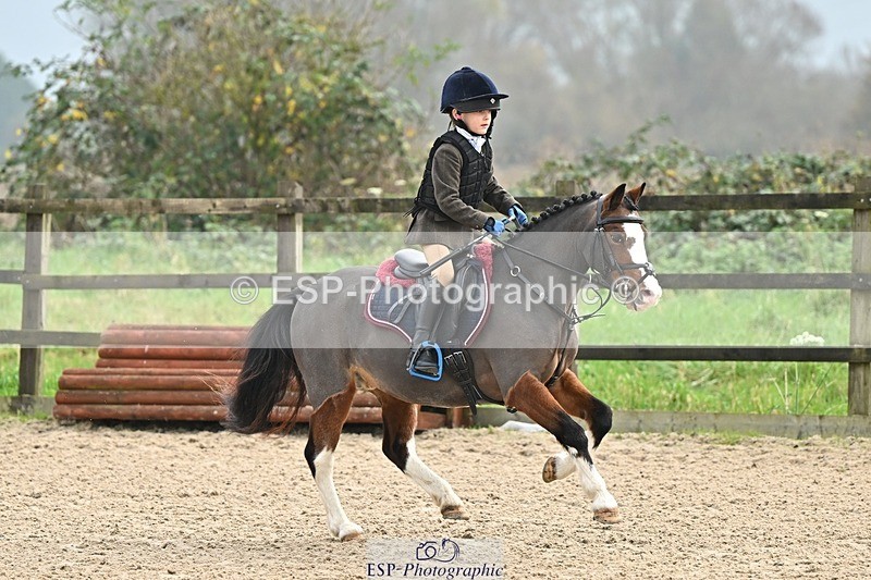 241110-102938-00318 - 40cm Showjumping