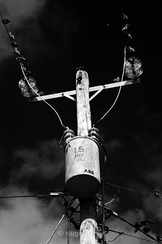  - Monochrome