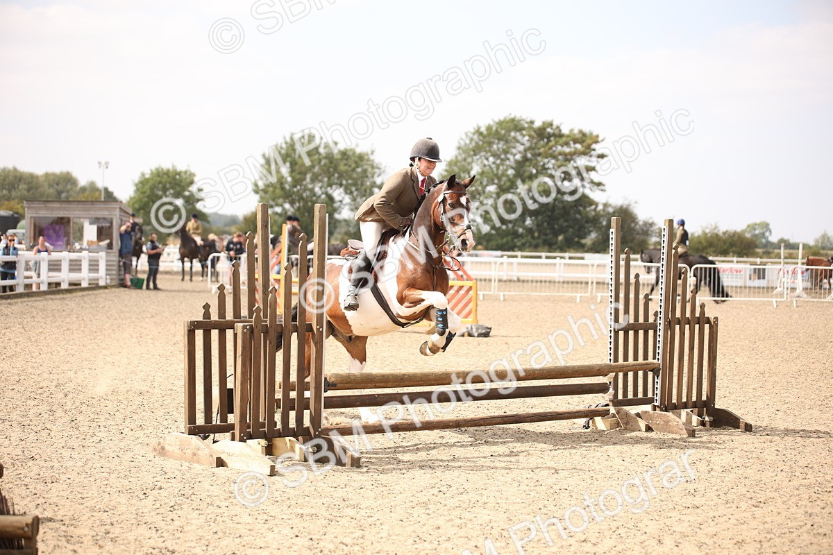 SBM_14949 - Class 408a - Working Veteran 70cm (15-19