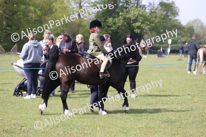 20260426-0583 - Class 31 - Leading Rein