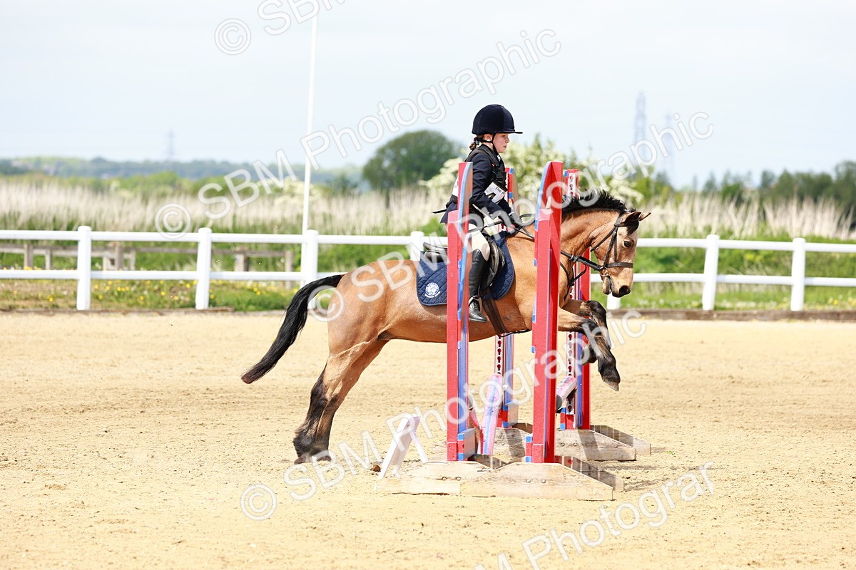 SBM_007849 - Class 3 - 60cm