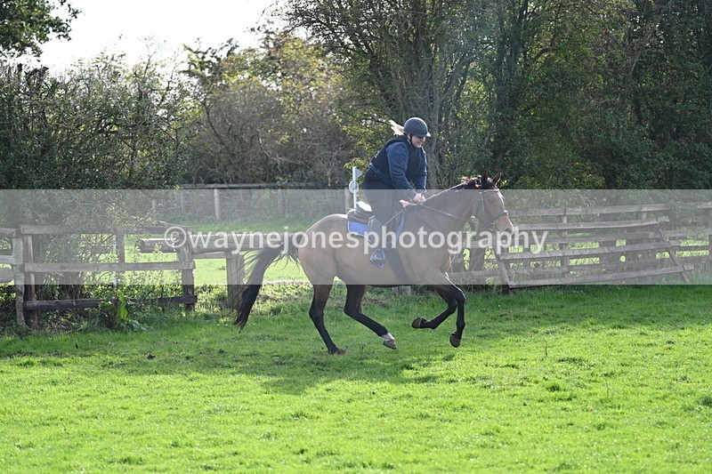 WJ7_0931 - Time 14:27 to 15:11