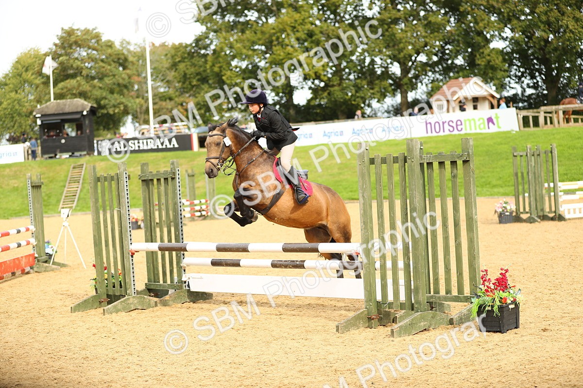 SBM_71231 - J18 - Junior Pony 85cm Championship