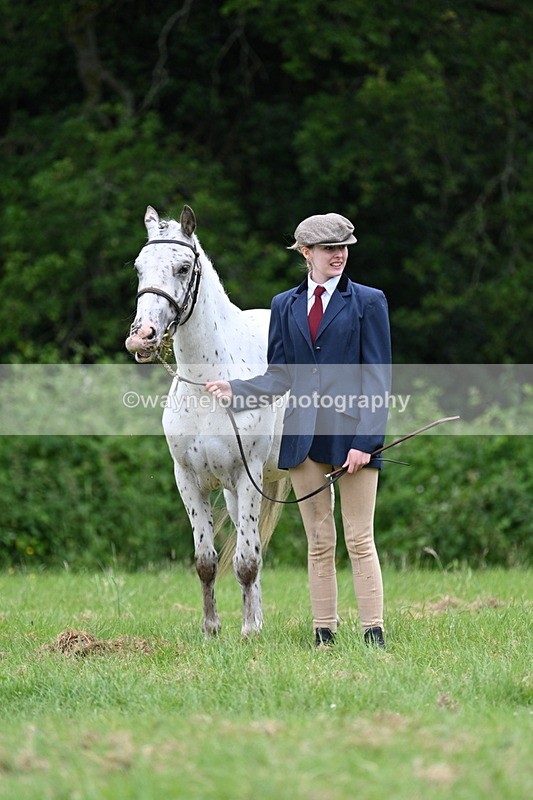 WJ7_4426 - Class 14B Prettiest Mare
