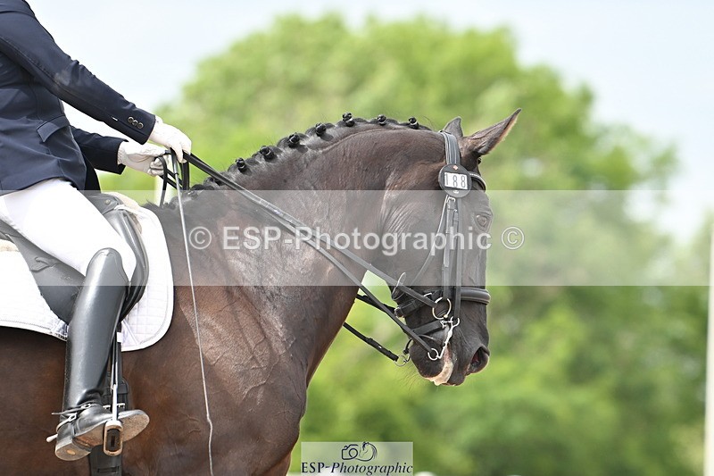 240621A-152359-04717 - Cls 13 BD Adv Medium 91