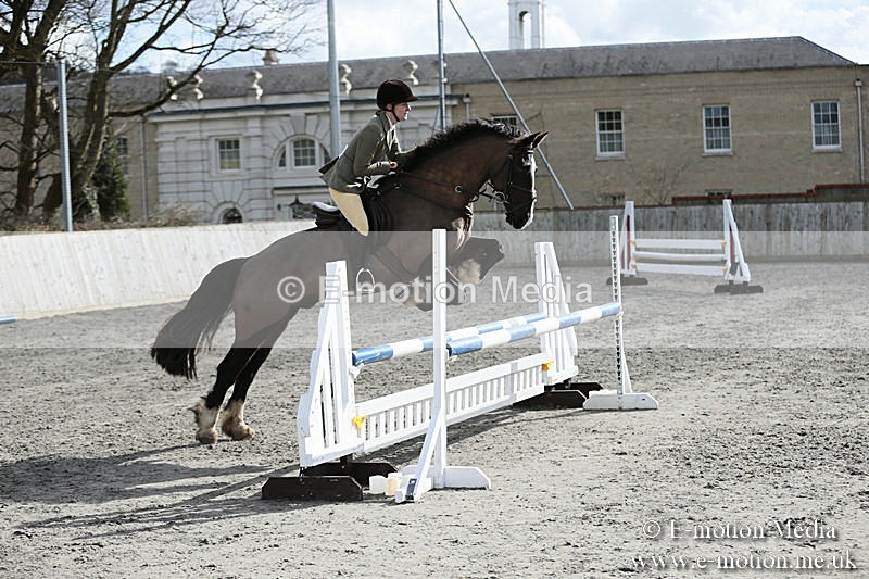 BVRC SJ 170319 679 - Bourne Valley Riding Club Showjumping 17/03/19