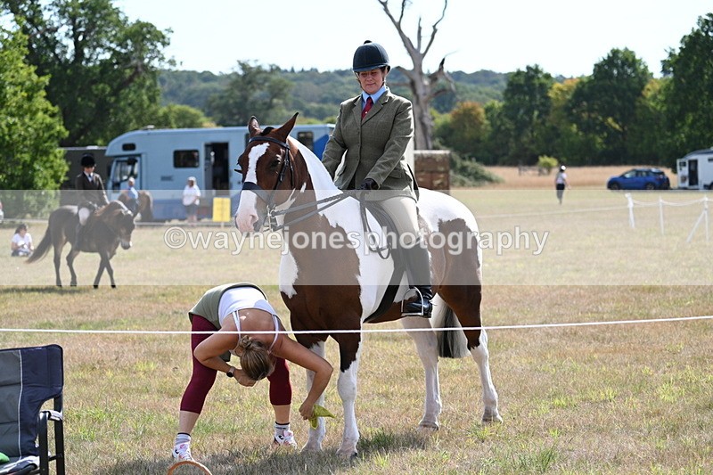 WJ7_2652 - Class 8 Ridden Tack & Turnout