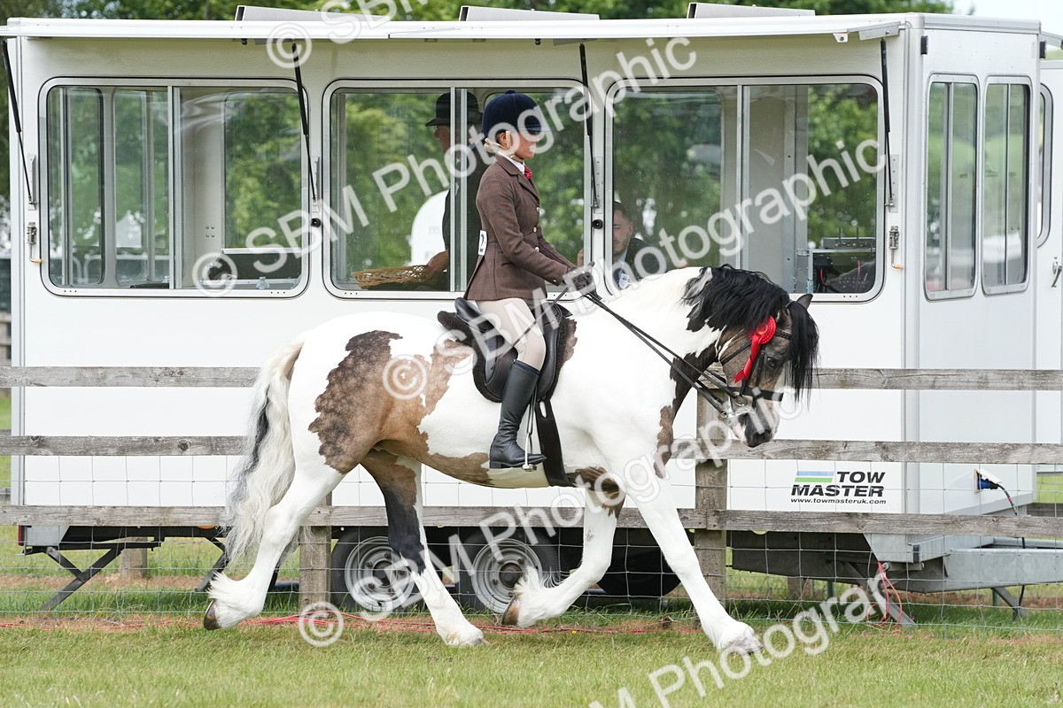 SBM_17644 - Class 107-108 - LIHS BSPS Performance Coloured Horse Pony