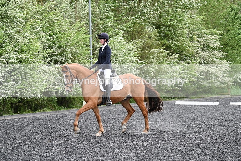 WJ7_1606 - Time 14:58 to 15:03