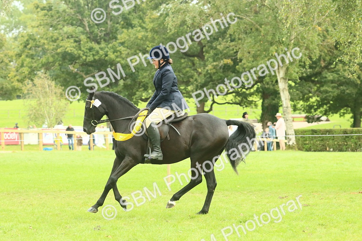SBM_75042 - Ridden Pony Supreme Championship
