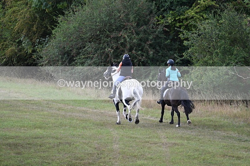 WJ7_5413 - Time 11:22 to 11:41