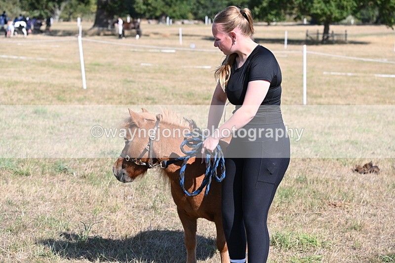 WJ6_7319 - Class 33 Rescue Pony