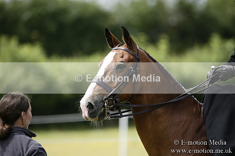 BVR160717-1607 - Side Saddle Classes 16/07/17