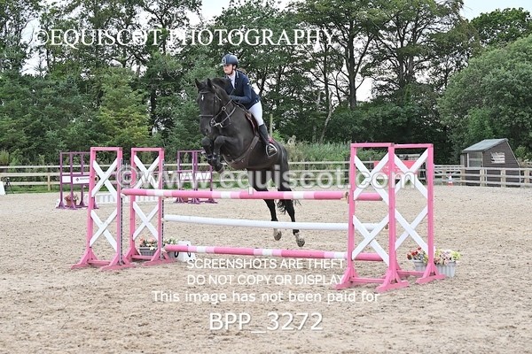 BPP_3272 - CLASS 21 SAT  Senior Foxhunter/ 1.20m Open