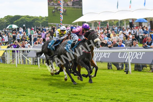 170523-Race 3-Azure Blue-0456 - Race 3 3.00pm 1895 Duke of York Clipper Logistics Stakes