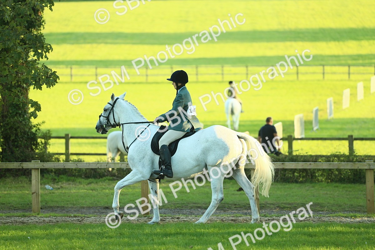 SBM_56417 - S14 - Riding Club Horse